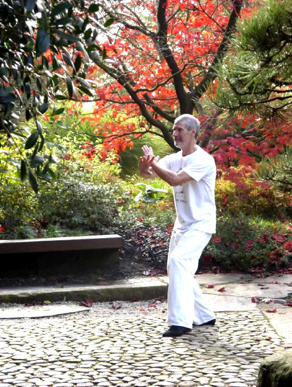 Dr. Stephan Langhoff: Beratung: Tai Chi Qigong Ausbildung Wiesbaden